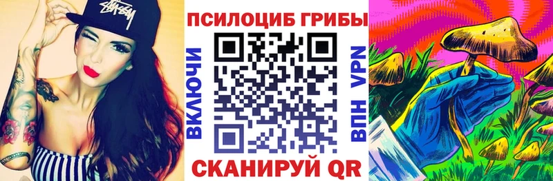 Галлюциногенные грибы Cubensis  Купить закладки  Пущино 